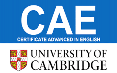 C1 Advanced Exam Preparation Online Course
